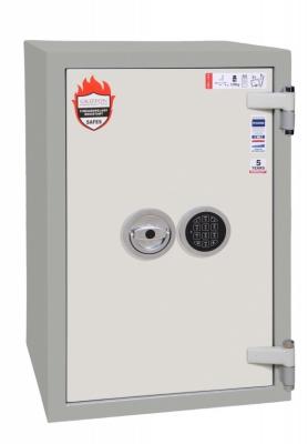 Griffon F30 CLI 70 E