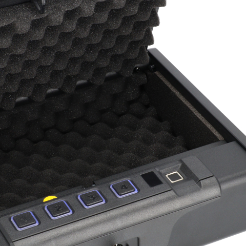 Brihard Kaasaskantav Biomeetriline Püstoliseif